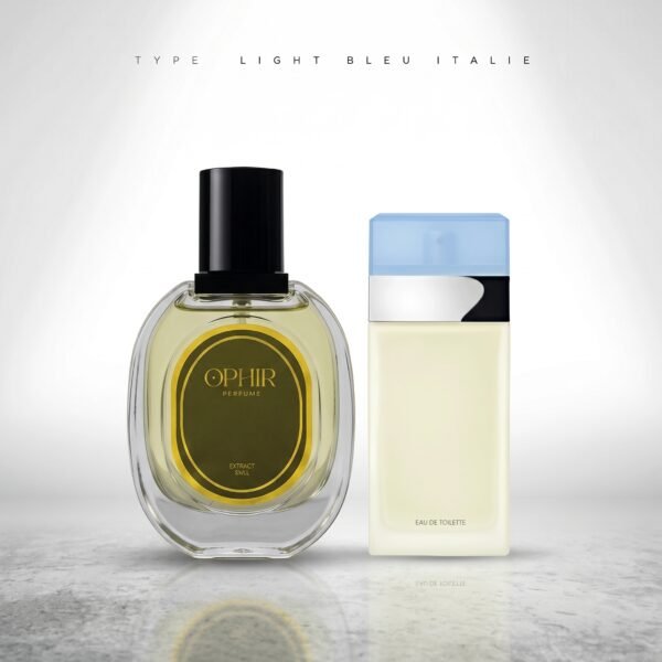 TYPE LIGHT BLEU FEMME