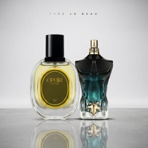 Use_the_first_uploaded_image_202606142142 TYPE LE BEAU